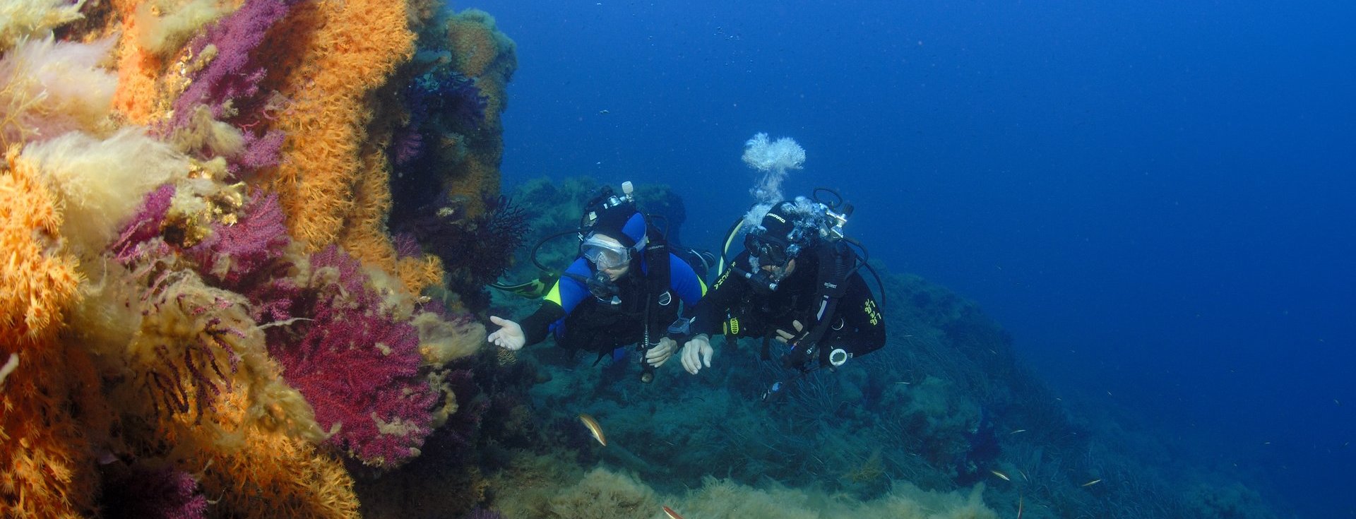 Advanced Dive Courses