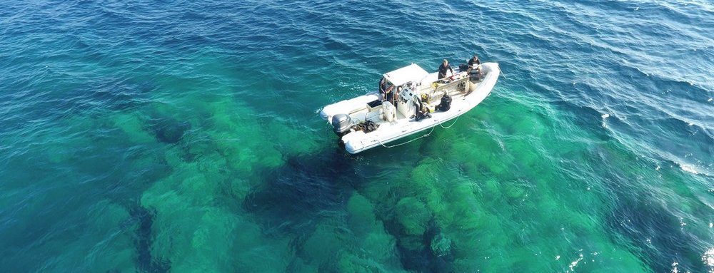 Shallow reef dive sites