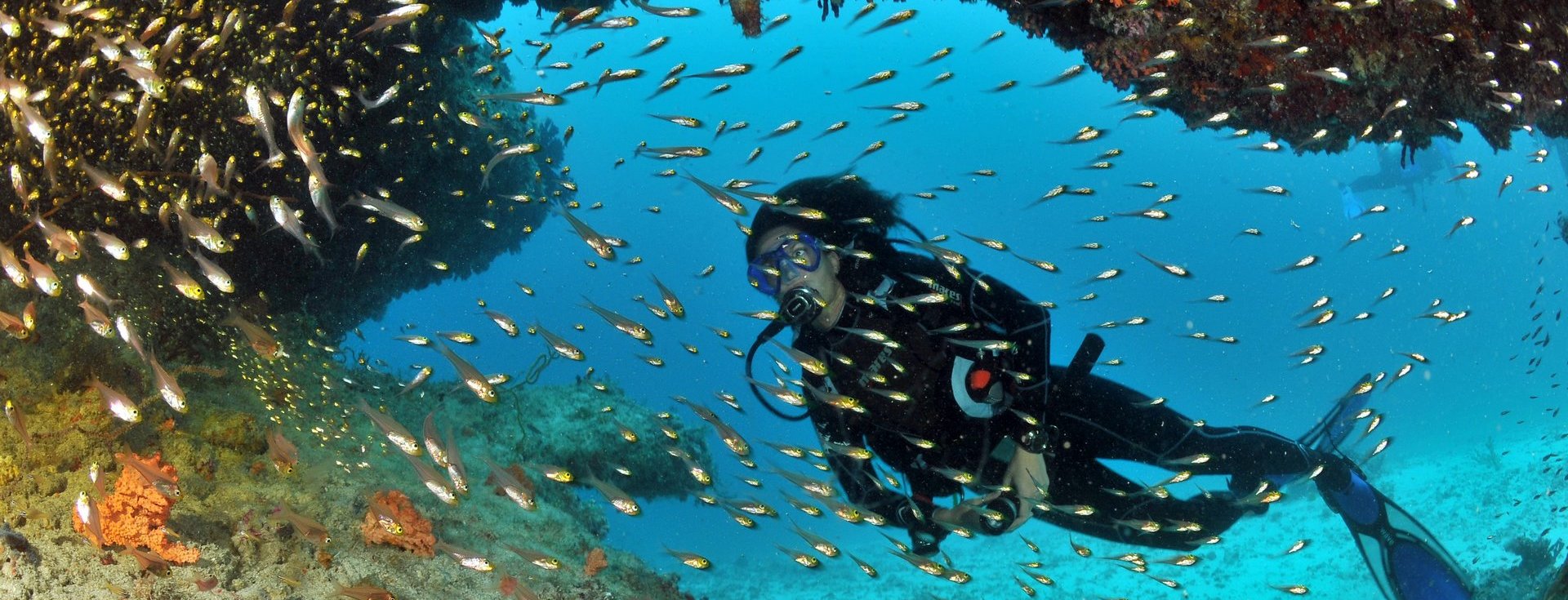 Shallow reef dive sites