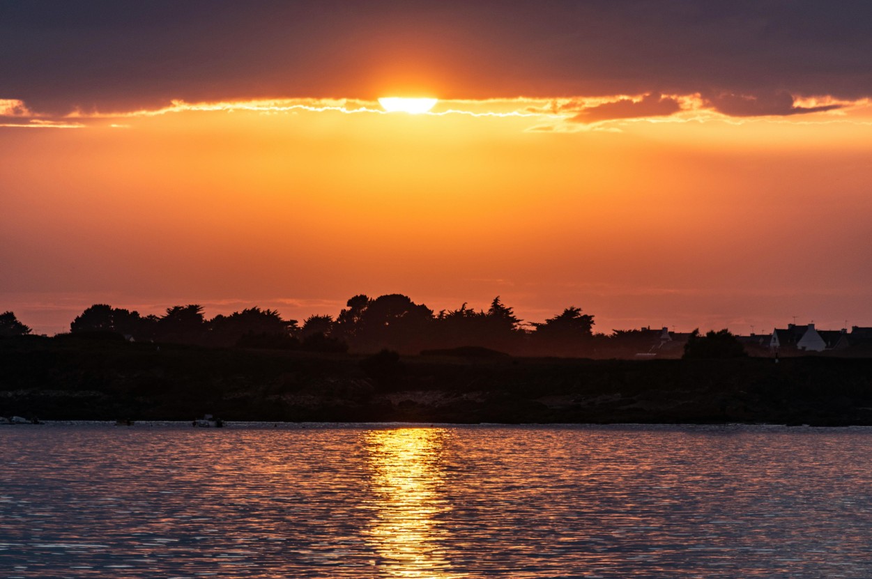 Sunset Dive Experience in Hyères 🌅🐠